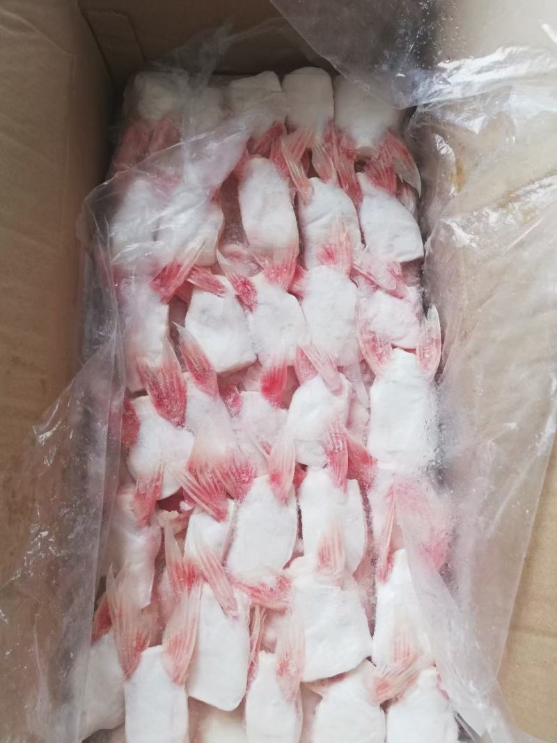 巴沙鱼鳍鲜冻巴沙鱼鳍鱼翅江苏海鲜水产大量供应