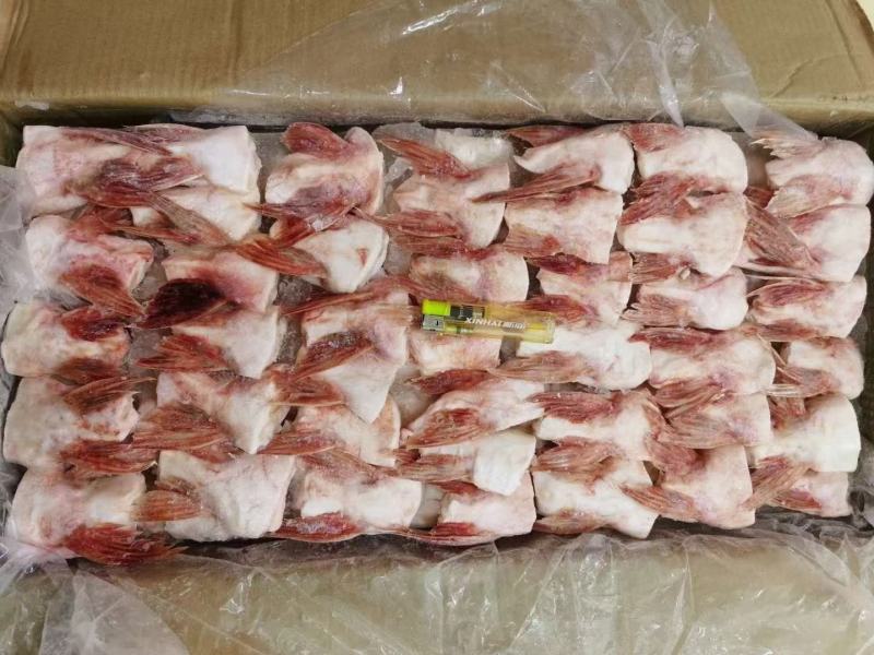 巴沙鱼鳍鲜冻巴沙鱼鳍鱼翅江苏海鲜水产大量供应