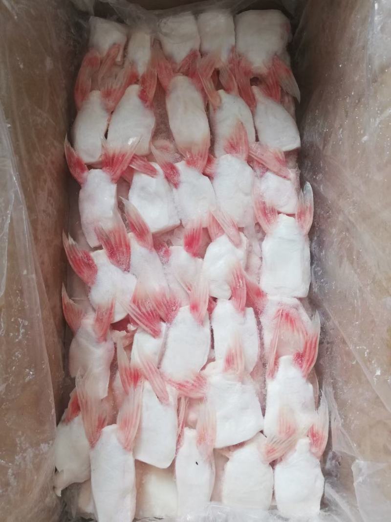 巴沙鱼鳍鲜冻巴沙鱼鳍鱼翅江苏海鲜水产大量供应