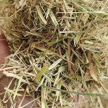 小方捆牛羊稻草。齐草。小麦秸秆。菌草。治沙草大量出售。