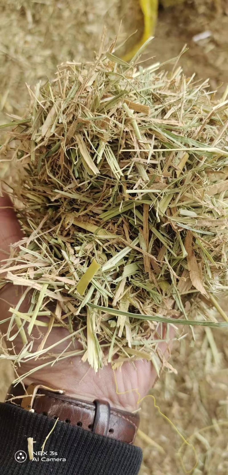 小方捆牛羊稻草。齐草。小麦秸秆。菌草。治沙草大量出售。