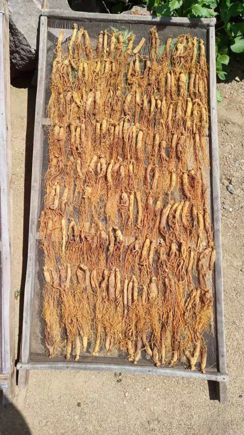 【红参批发】无糖红参大量批发，500克包邮