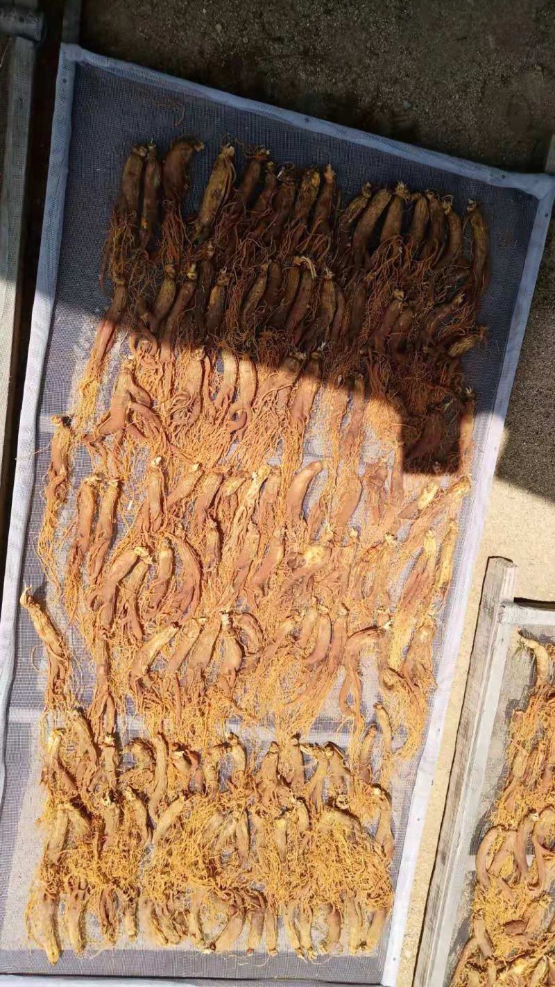 【红参批发】无糖红参大量批发，500克包邮