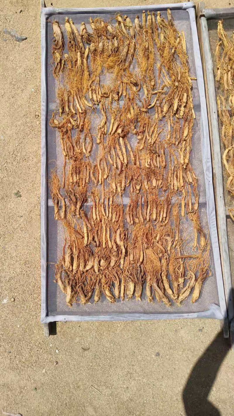 【红参批发】无糖红参大量批发，500克包邮