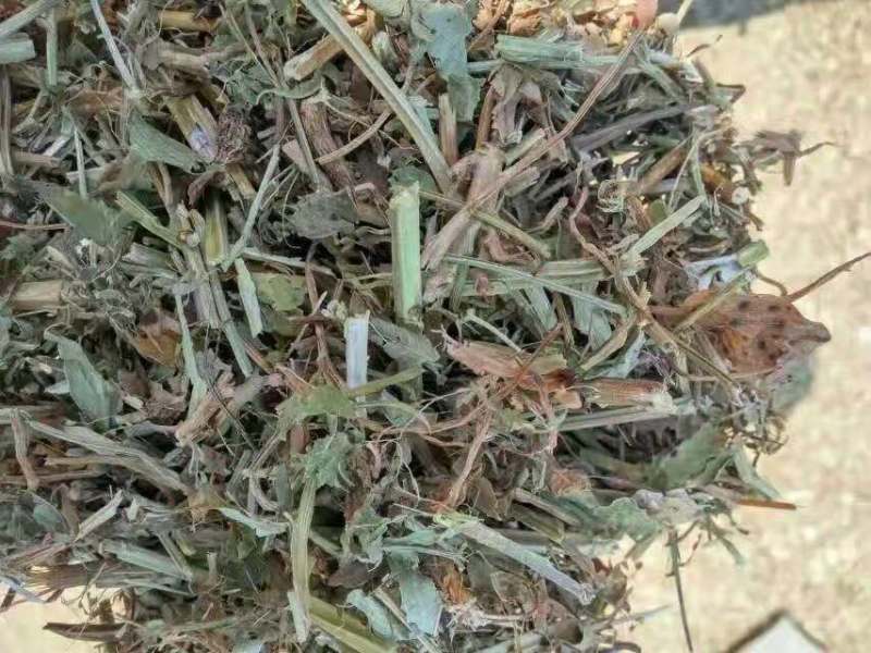 优质花生秧牛羊草。花生颗粒大量出售。支持全国发货，包邮。
