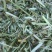 优质花生秧牛羊草。花生颗粒大量出售。支持全国发货，包邮。