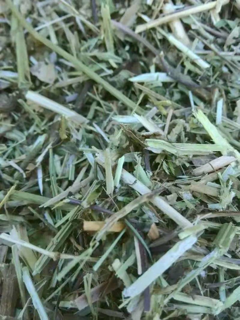 优质花生秧牛羊草。花生颗粒大量出售。支持全国发货，包邮。