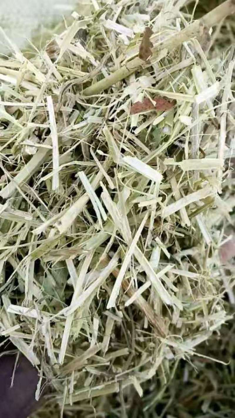 优质花生秧牛羊草。花生颗粒大量出售。支持全国发货，包邮。