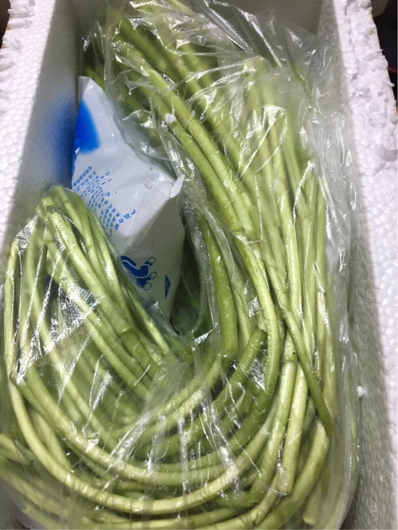 常年出售供应优质新鲜嫩芦蒿精品芦蒿黎蒿蒿