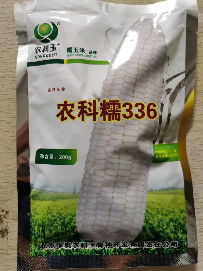 农科糯336白甜糯玉米种子原袋发货农科玉368白玉米种