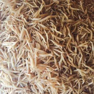 大天冬干货有一吨多自家种植，一手货源，大量批发，价格优惠