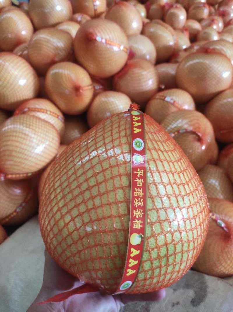 红心三红蜜柚小溪货大量批发代发产地直发，支持视频看货