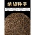 柴胡种子安徽亳州北柴胡籽品种优良出芽率高批发零售