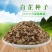 【白芷种子】品质品种质量保证资质齐全公司直发可实地考察