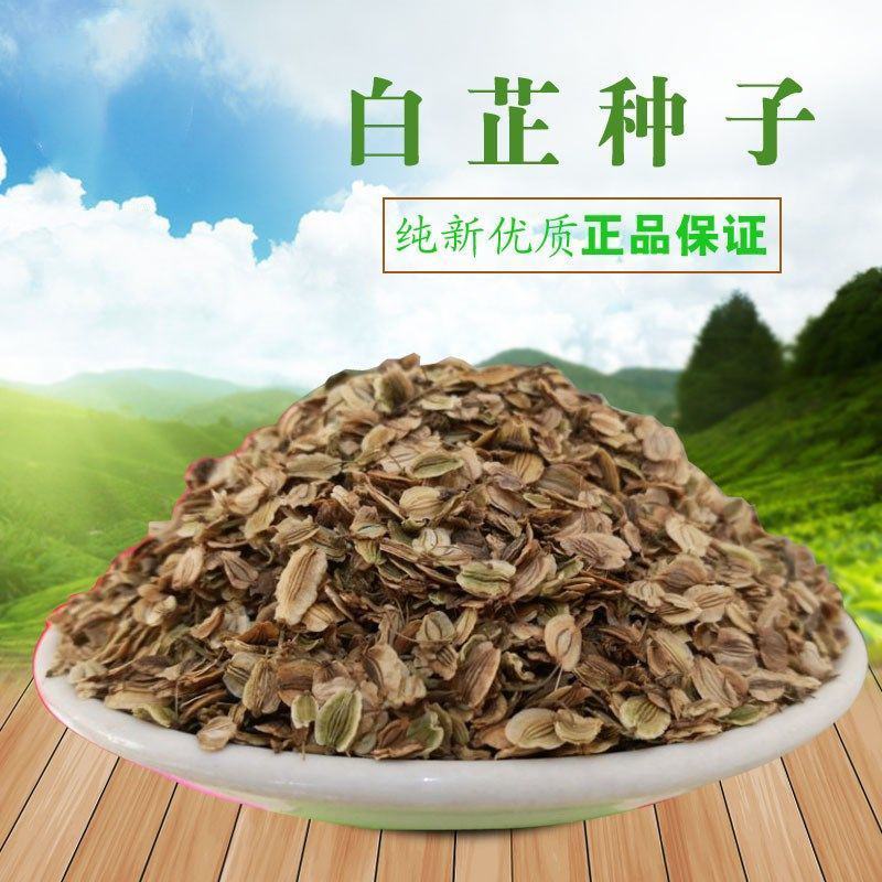 【白芷种子】品质品种质量保证资质齐全公司直发可实地考察