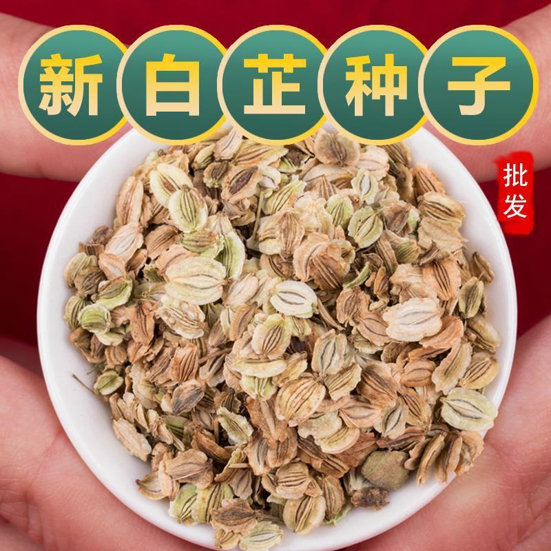 【白芷种子】品质品种质量保证资质齐全公司直发可实地考察