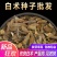 【白术种子】安徽纯新改良白术籽厂家直销保证芽率品种包收