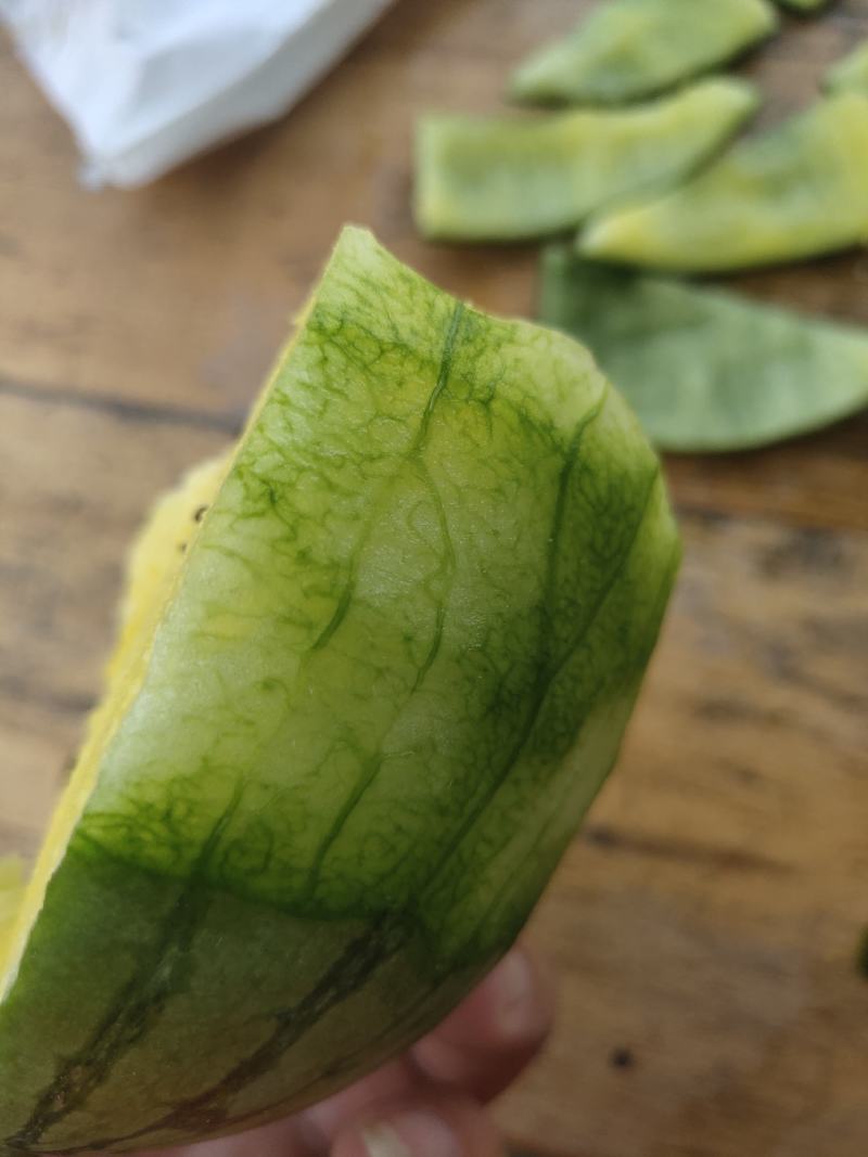 仁风富硒西瓜生长在半空的蜜罐