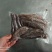 海参，赤参茄参。已经清洗干净