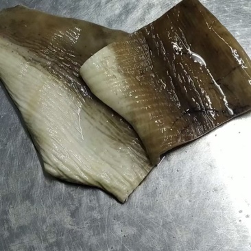 鲨鱼皮，去沙去肉，皮厚，口感糯滑