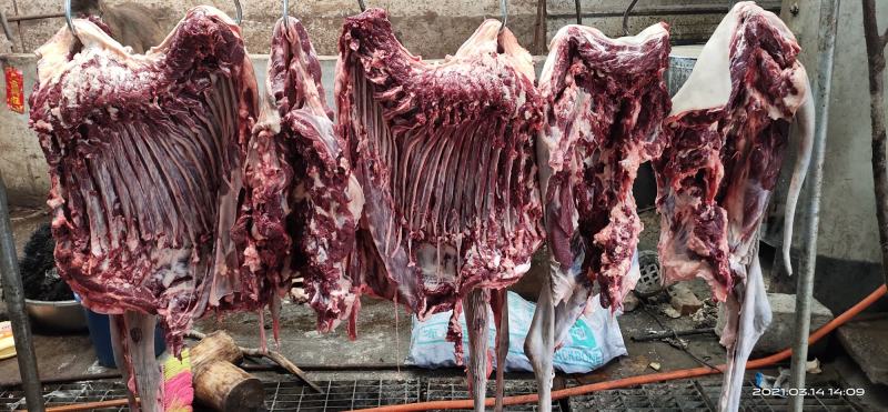 【鲜驴肉】驴肉带皮驴肉去皮驴肉规格齐全现杀现发