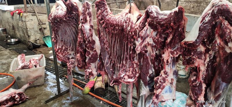 【鲜驴肉】驴肉带皮驴肉去皮驴肉规格齐全现杀现发