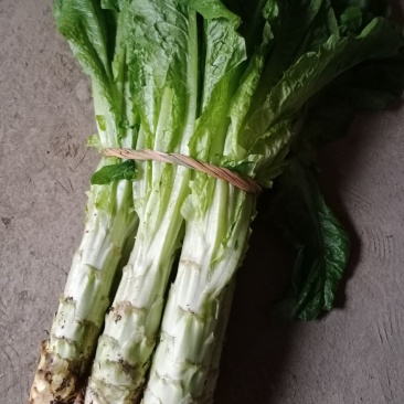 汉中莴笋单颗重一至三斤，皮薄肉多产地直销