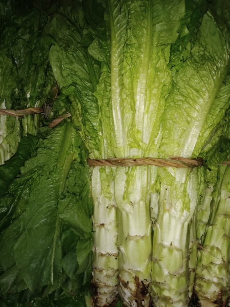 汉中莴笋单颗重一至三斤，皮薄肉多产地直销