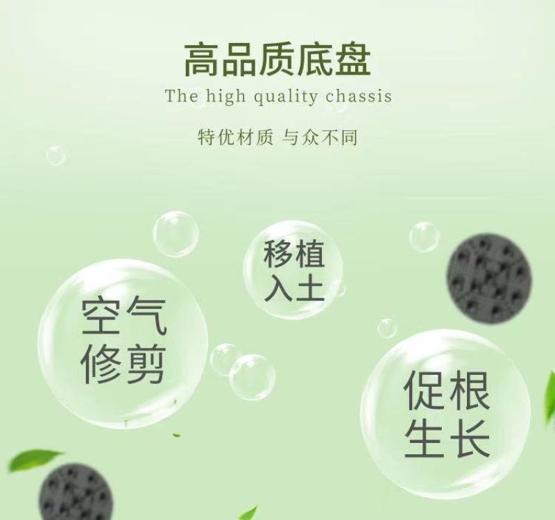工厂直销加厚控根器底盘底座育苗植树容器育苗盘排水板