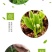 工厂直销加厚控根器底盘底座育苗植树容器育苗盘排水板