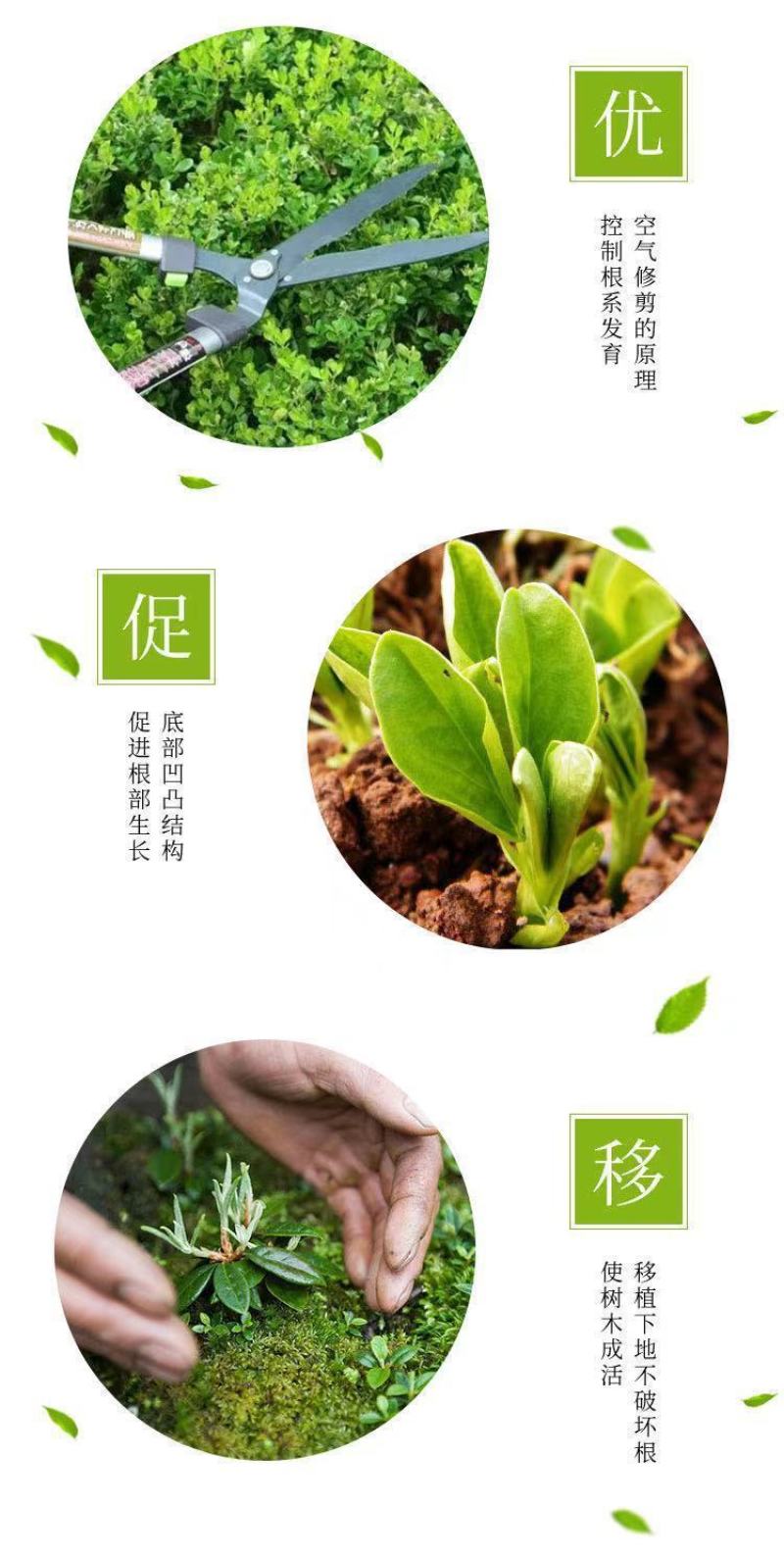 工厂直销加厚控根器底盘底座育苗植树容器育苗盘排水板