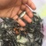 鲈鱼苗，大量养殖，品种优良精心培养，长期电话提供，包成活