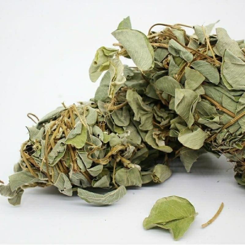 金钱草广金钱草大叶金钱草过筛无粉末