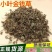 金钱草广金钱草大叶金钱草过筛无粉末