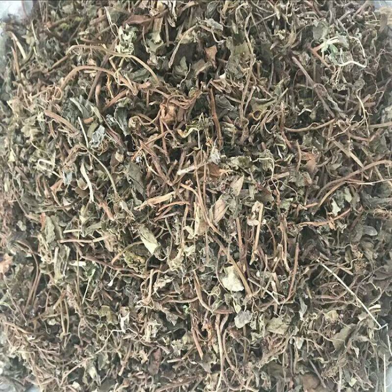 金钱草广金钱草大叶金钱草过筛无粉末