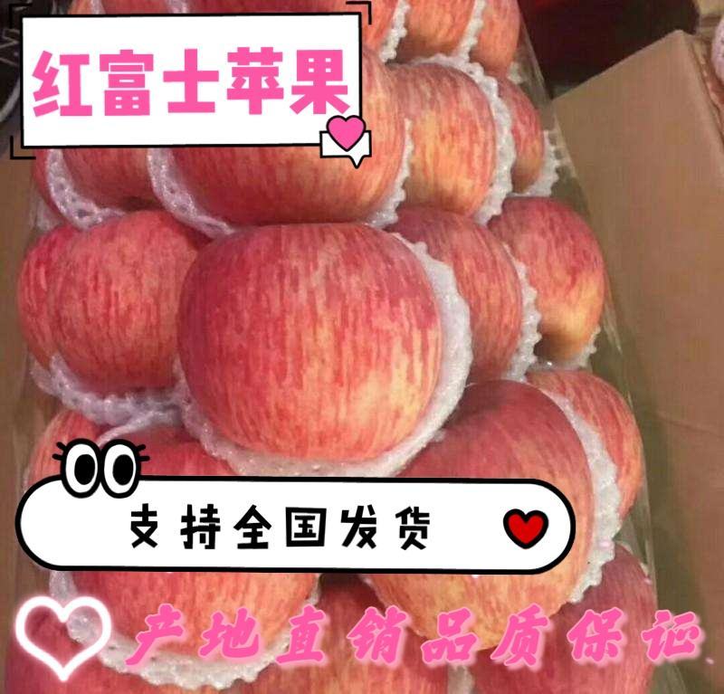 山东万亩红富士苹果纸袋膜袋产值供销基地