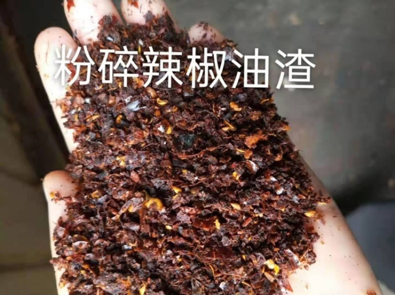 供应发酵辣椒粕辣椒油渣适用于蛋鸡饲养辣椒粉辣椒粕