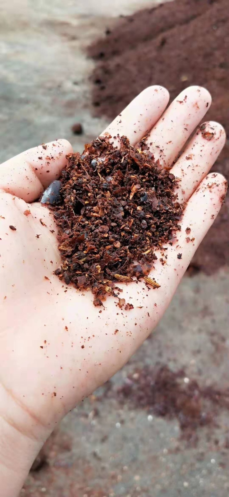 供应发酵辣椒粕辣椒油渣适用于蛋鸡饲养辣椒粉辣椒粕