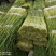 什邡优质蒜苔即将大量上市