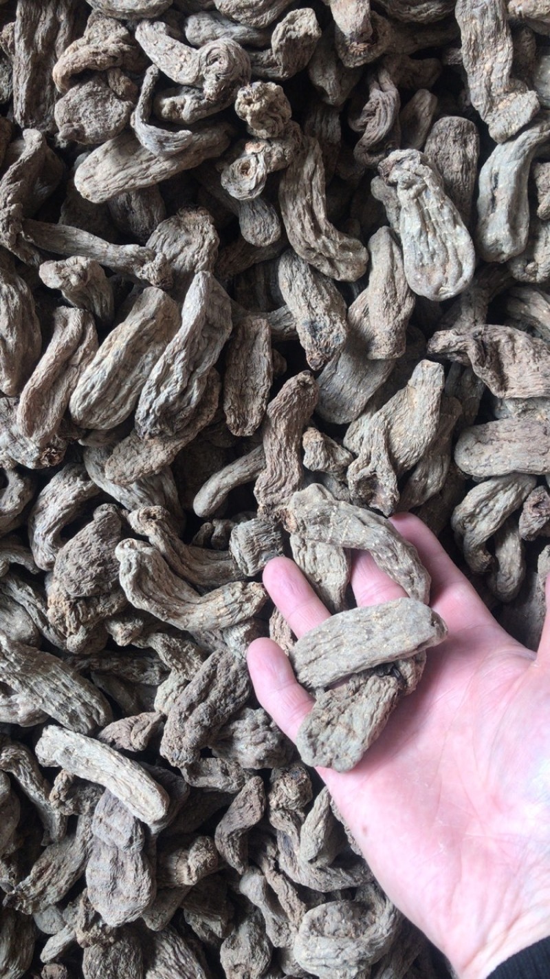 天麻批发昭通小草坝乌天麻个头大的8头一斤起批