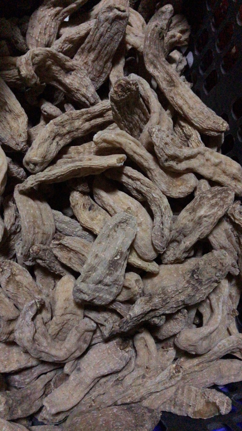 天麻批发昭通小草坝乌天麻个头大的8头一斤起批