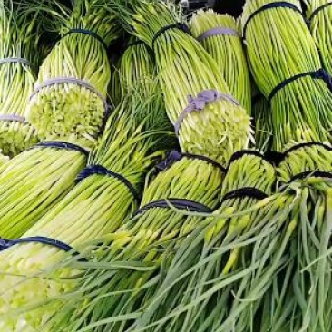 河南省漯河市临颍县白帽蒜薹大量上市