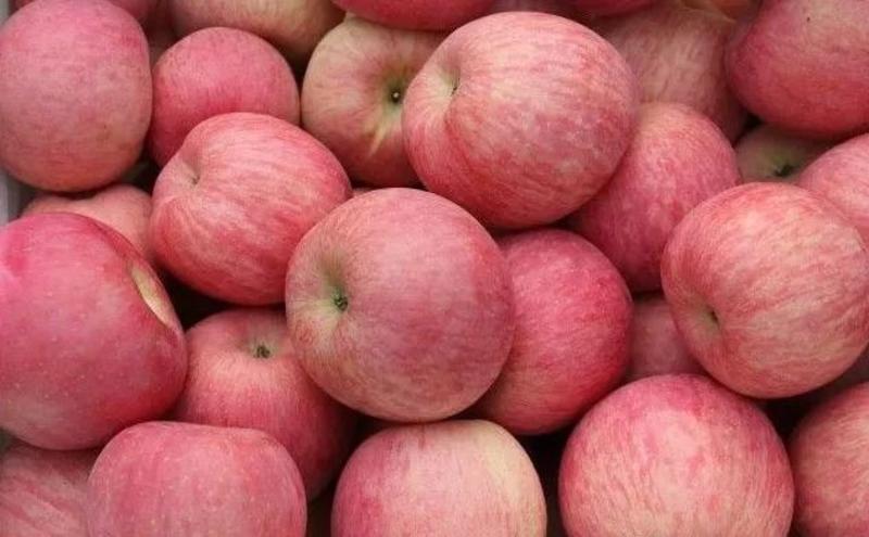 苹果冰糖心红富士苹果，水晶富士赶集超市电商价格便宜