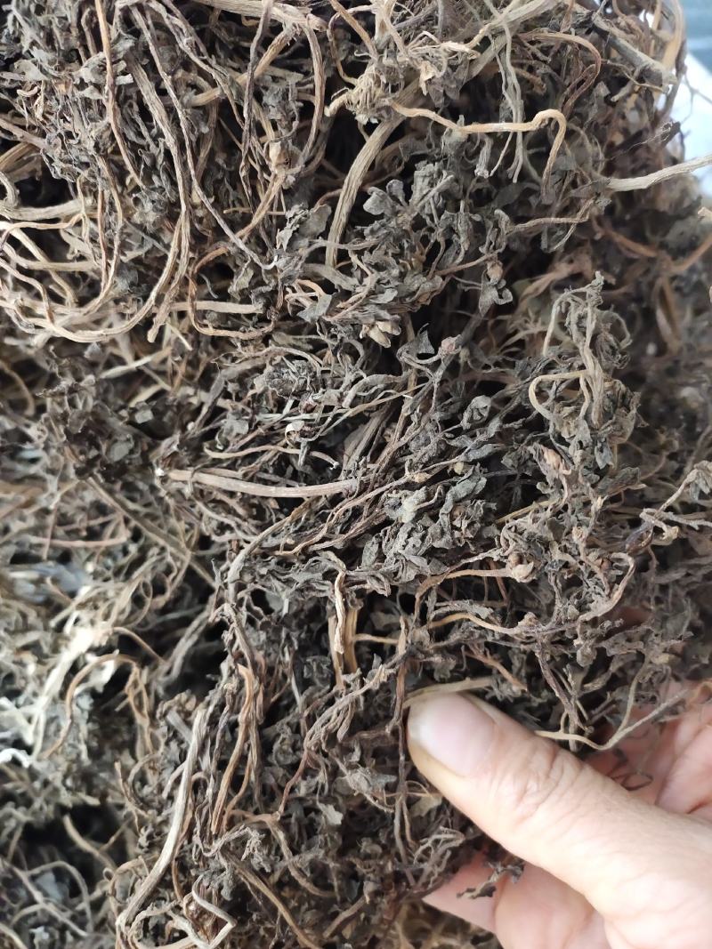 野生马齿笕马齿菜马齿苋干整株发货，药用老水货一手货源