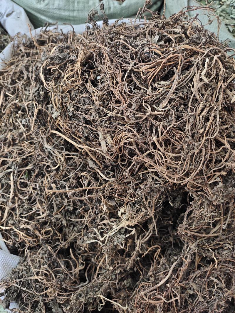 野生马齿笕马齿菜马齿苋干整株发货，药用老水货一手货源
