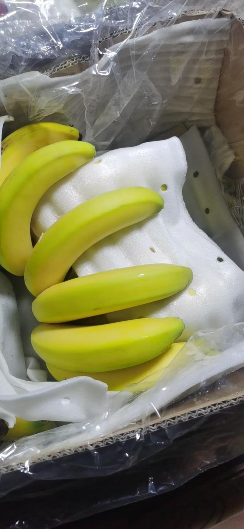 精品香蕉，口感香糯甜，无硬心无黑心，质量三包