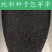 药材种子纯新优质黄芩种子黄芩籽春夏秋播种干旱地可种
