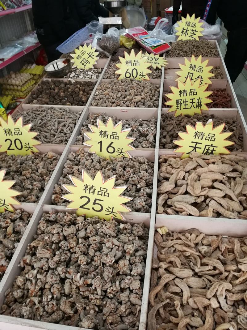 云南生物谷云南文山三七