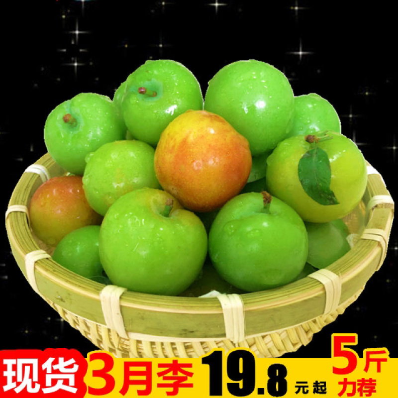广东新鲜李子三月李酸脆李子青李子现货一件代发