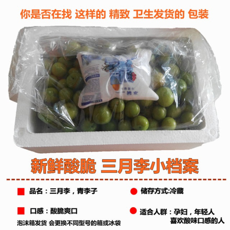 广东新鲜李子三月李酸脆李子青李子现货一件代发